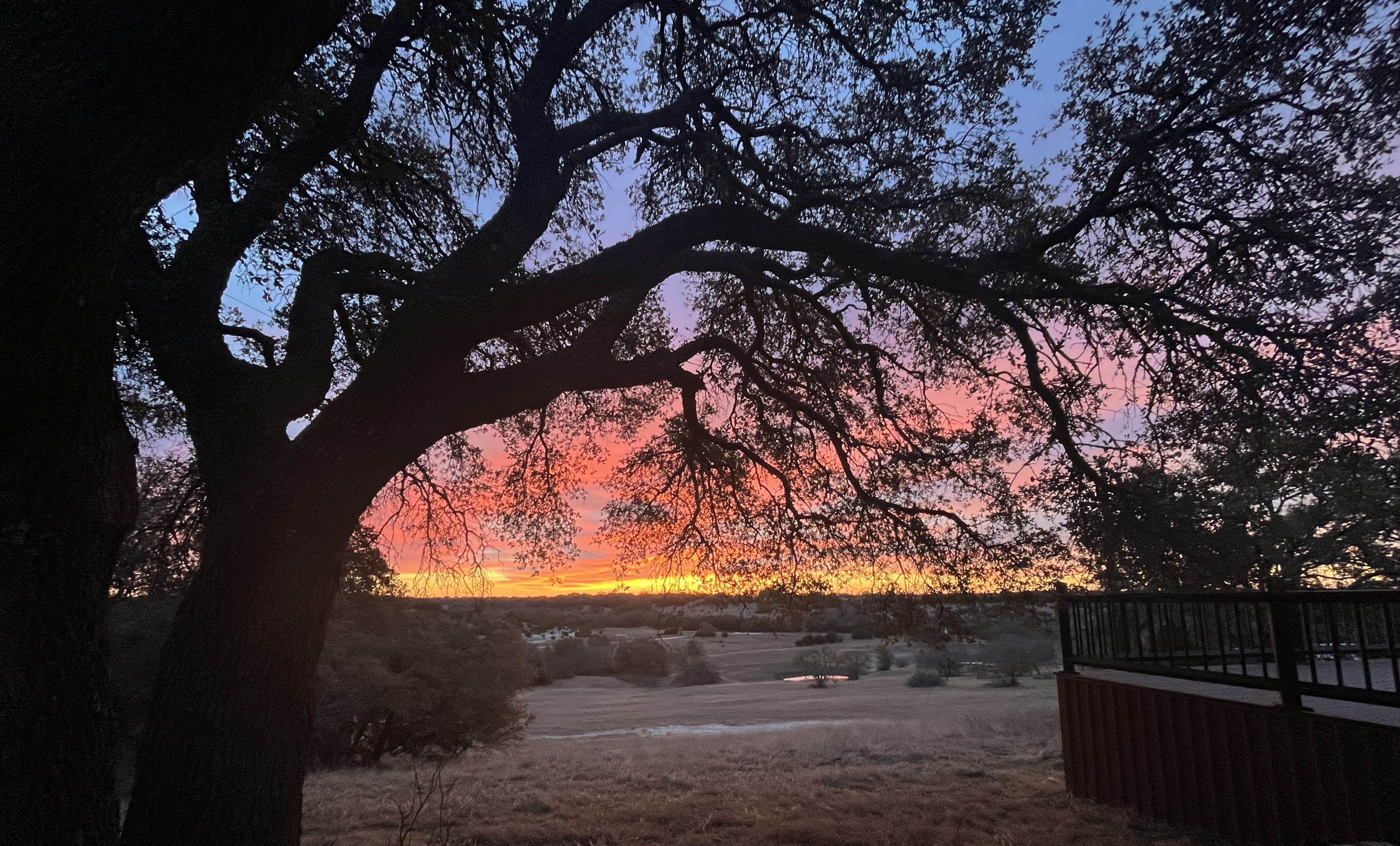 Meridian Ranch in March